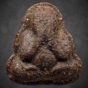 Phật Bịt Mắt-Phra Pidta - Lp Waen - Wat Doi Mae Pang - BE 2517