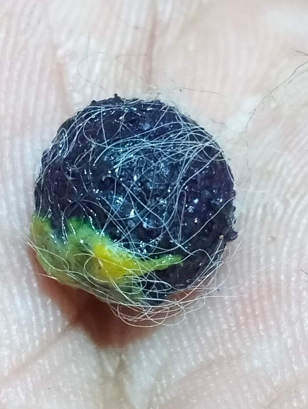 mắt mèo hóa đá 3