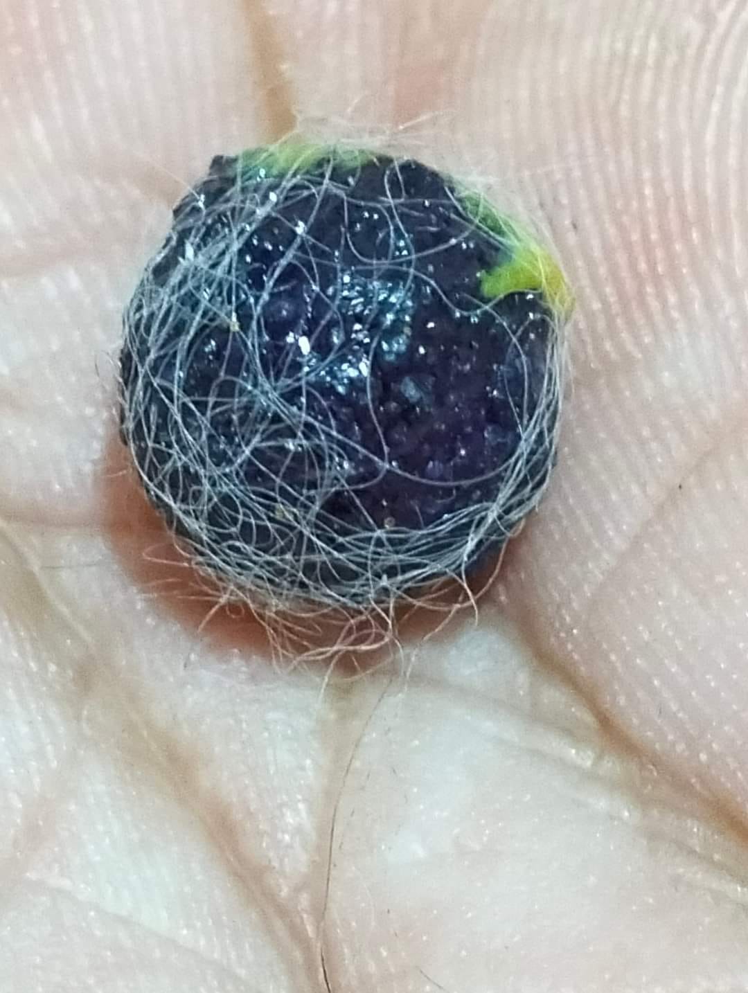 mắt mèo hóa đá 4