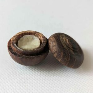 Si Phueng Huyền Thoại Mae Thonphon