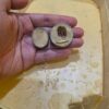 Sáp Bẫy Dầu Mật Ong